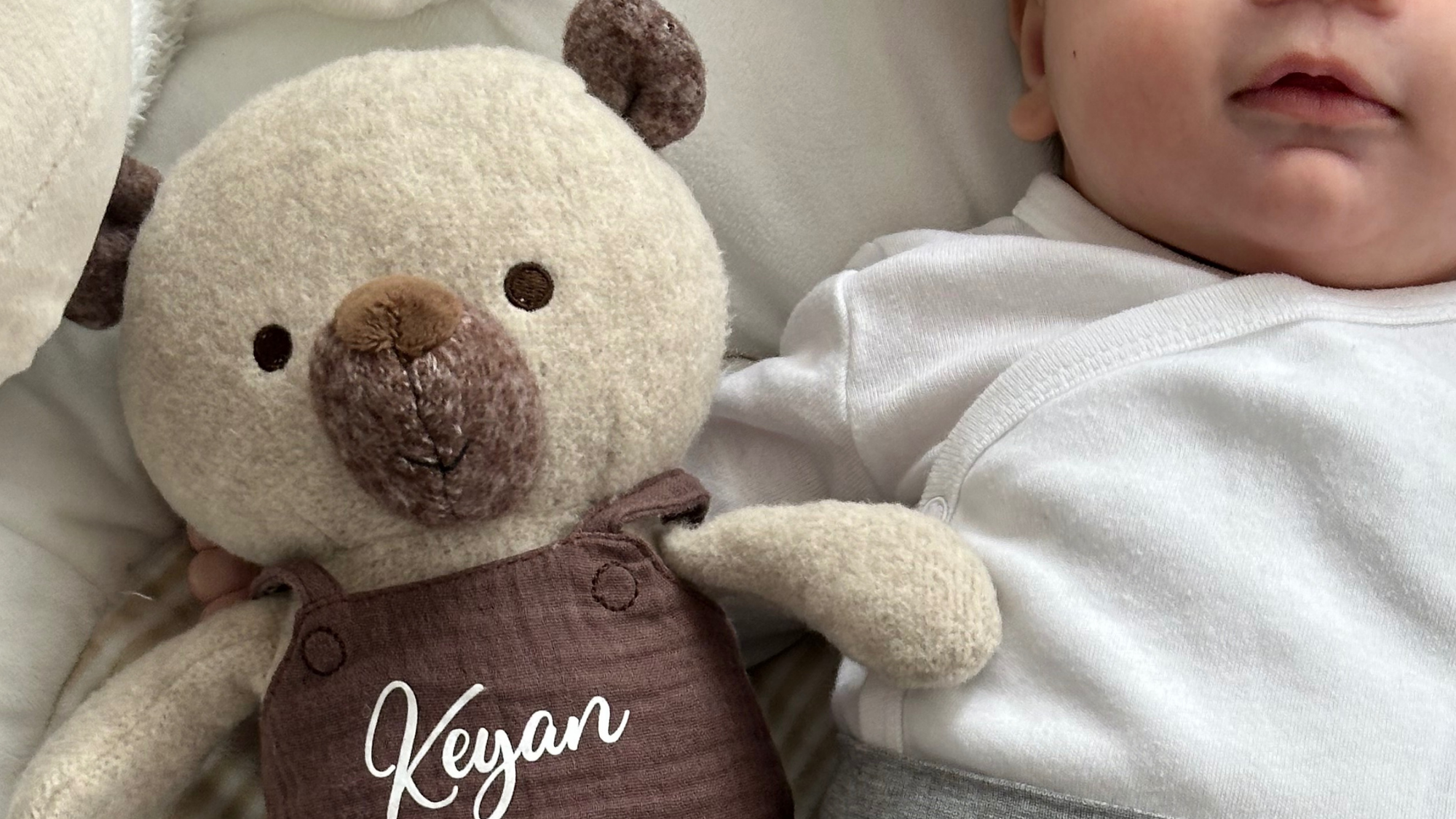 Kuscheltier TeddySam - Personalisiert